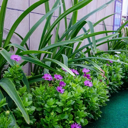 Vila Danijela With Heated Pool,jacuzzi And Sauna