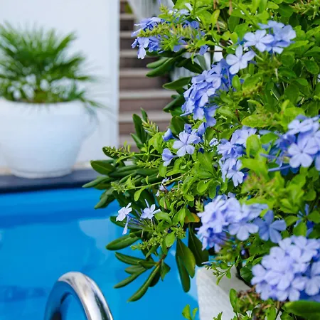 Danijela With Heated Pool,jacuzzi And Sauna