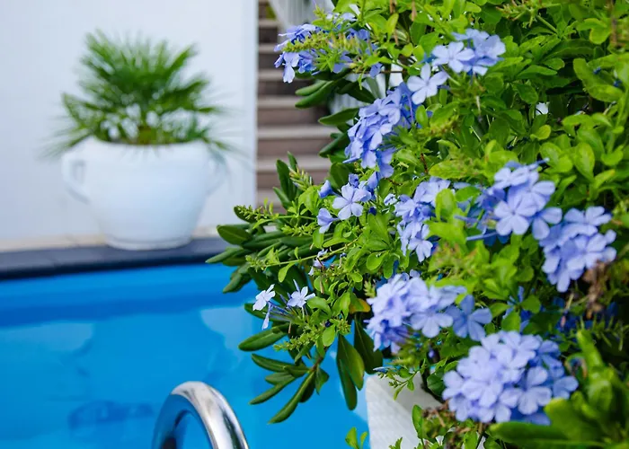 Danijela With Heated Pool,jacuzzi And Sauna